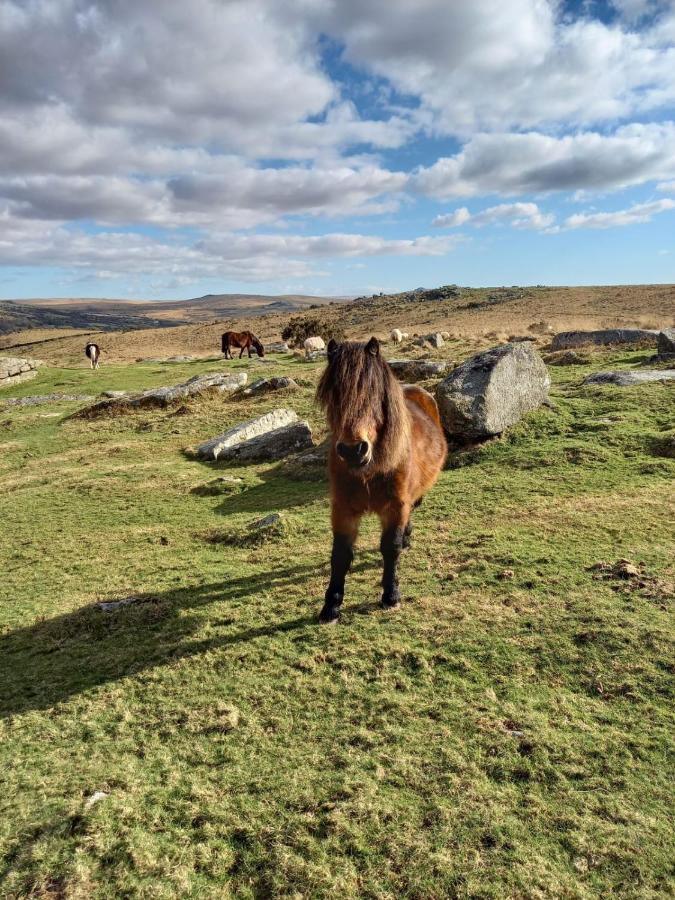 Dartmoor Inn プリンスタウン エクステリア 写真